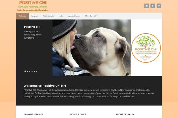 Executive Pro Theme theme site design template sample