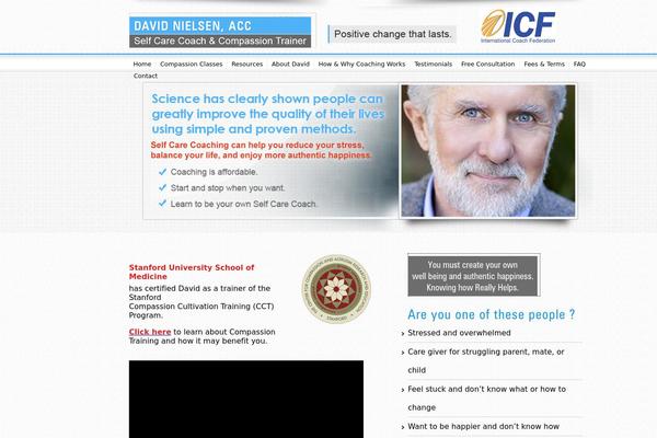 David theme site design template sample