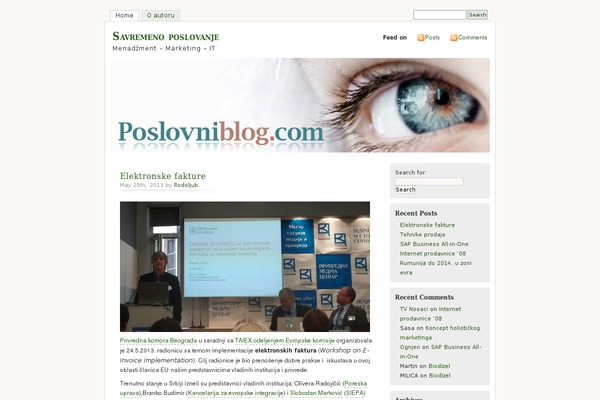 Mistylook-101 theme site design template sample