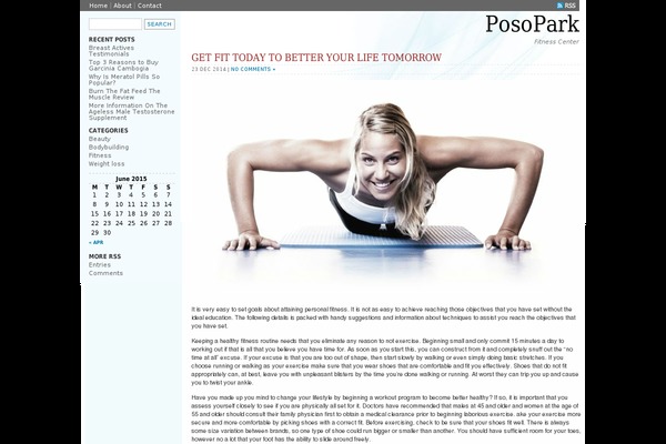 posopark.com site used Myjournal-theme