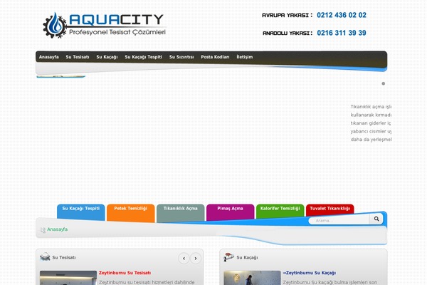 posta theme websites examples