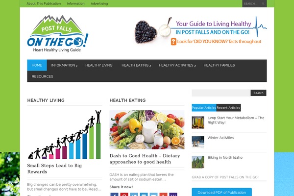 Magazon Wp theme site design template sample