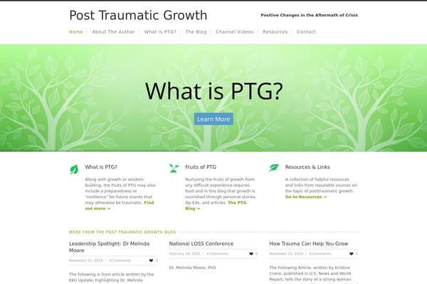 Nevada theme site design template sample