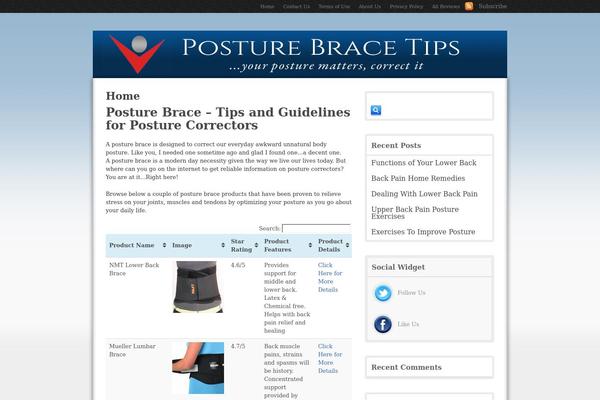 Proreview theme site design template sample