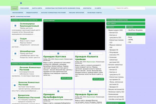 Marena theme site design template sample