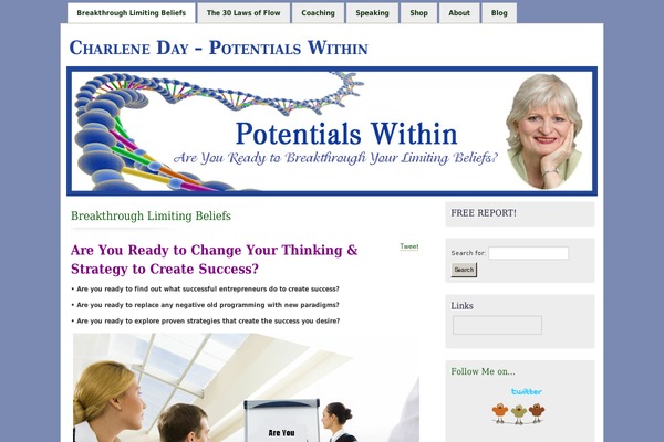 Misty Look theme site design template sample