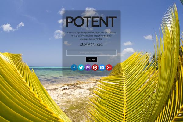 Site using Bluwidgets plugin