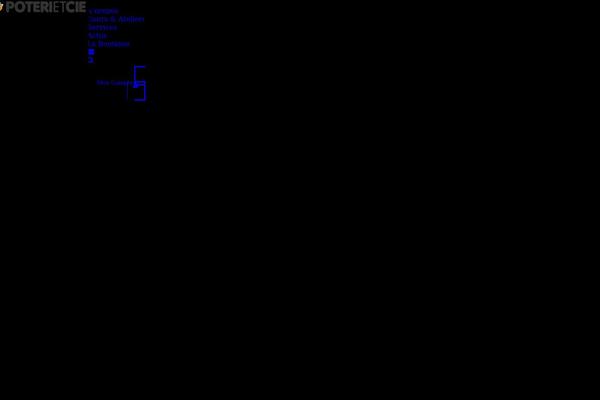 Site using Real3d-flipbook plugin