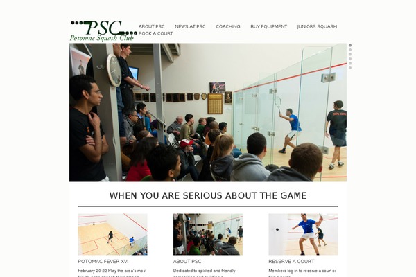 Crescendo theme site design template sample