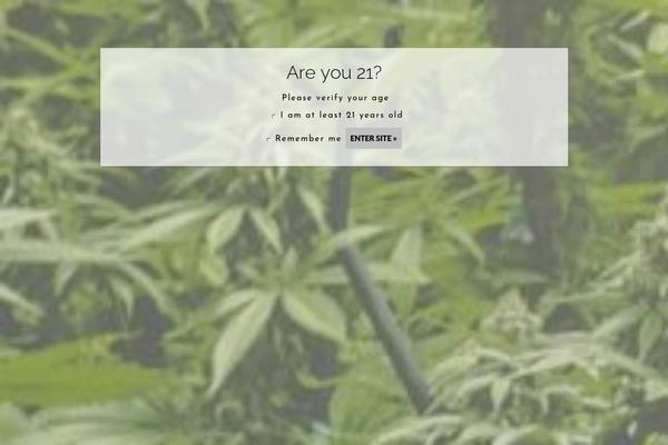 Thefox_child_theme theme site design template sample