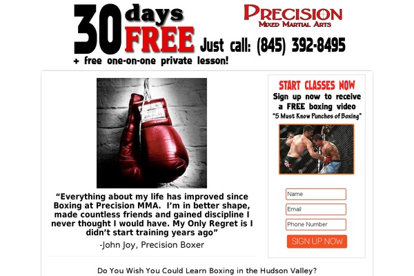 Akita theme site design template sample