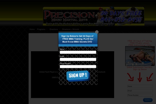 Site using Dreamgrow Scroll Triggered Box plugin