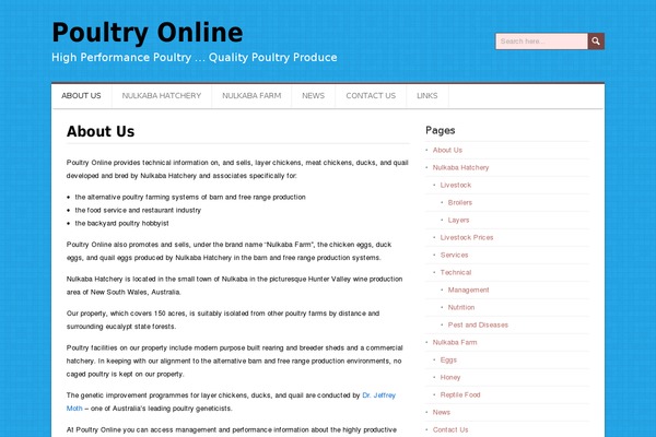 DaisyChain theme site design template sample