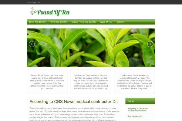 iFeature theme site design template sample