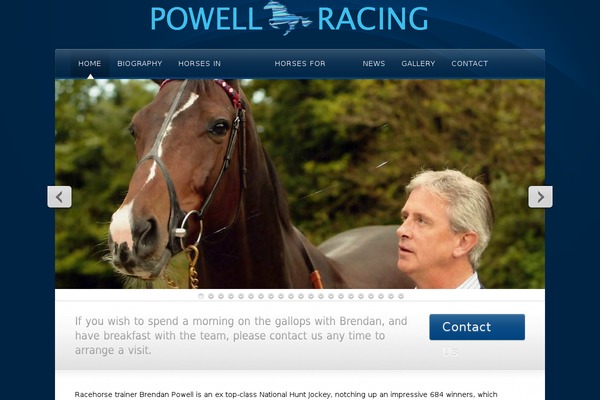 Awake theme site design template sample