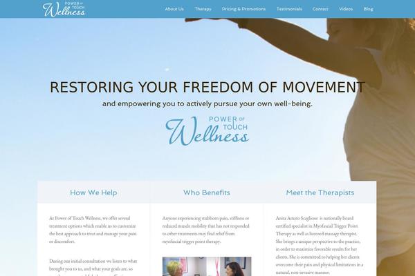 Agency Pro theme site design template sample