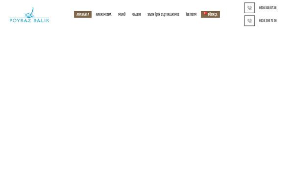 Site using Trx_socials plugin