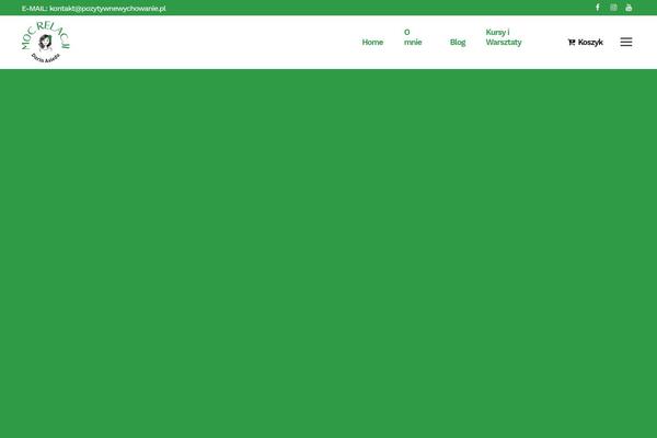 Site using Bridge-core plugin