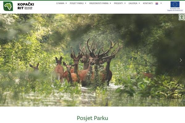 Site using Wp-accessibility-helper-pro plugin