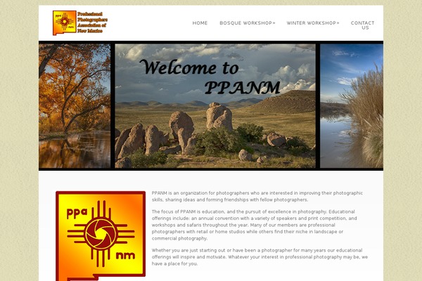 Dandelion theme site design template sample