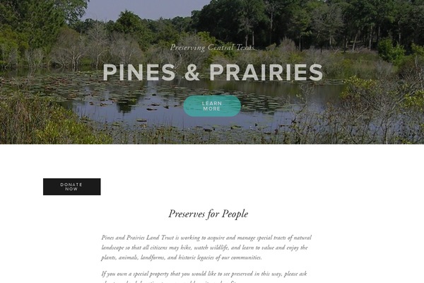 Site using Associated-posts-pro plugin