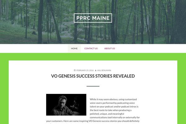 Toivo Lite theme site design template sample