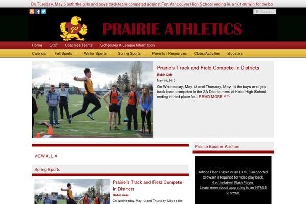 Sno Flex theme site design template sample