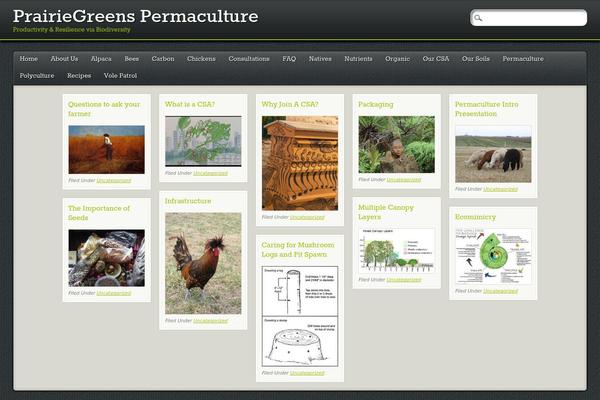 PinBlack theme site design template sample