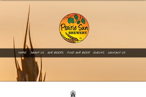 Nash theme site design template sample