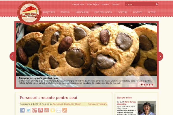 Julia theme site design template sample