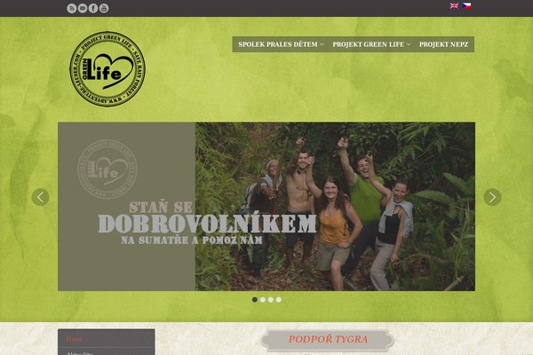 Site using WP Font Awesome plugin