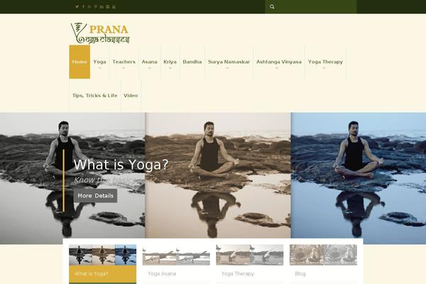 Neve-child-master theme site design template sample