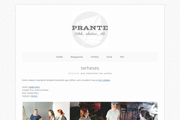 Origami theme site design template sample