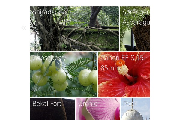 autofocus_child WordPress theme, websites list used autofocus_child theme autofocus_child theme websites examples