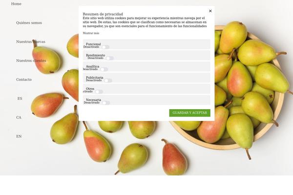 Goya-child theme site design template sample