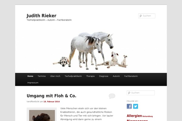 Site using 2 Click Social Media Buttons plugin