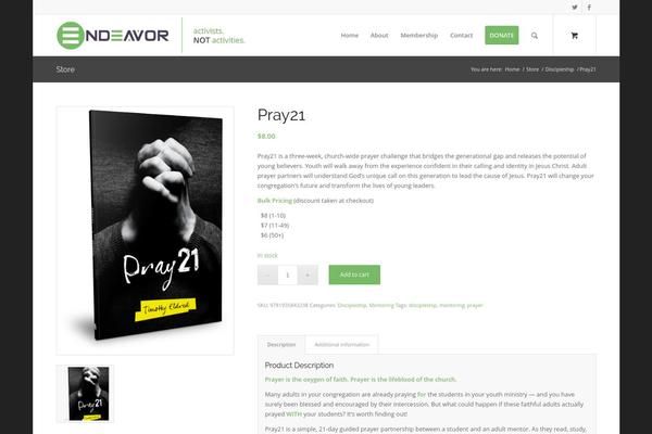 Enfold theme site design template sample