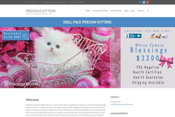 Interface Pro theme site design template sample