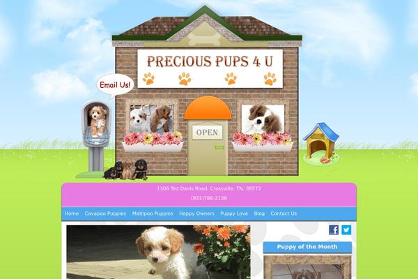 Site using Feedburner Email Subscription plugin