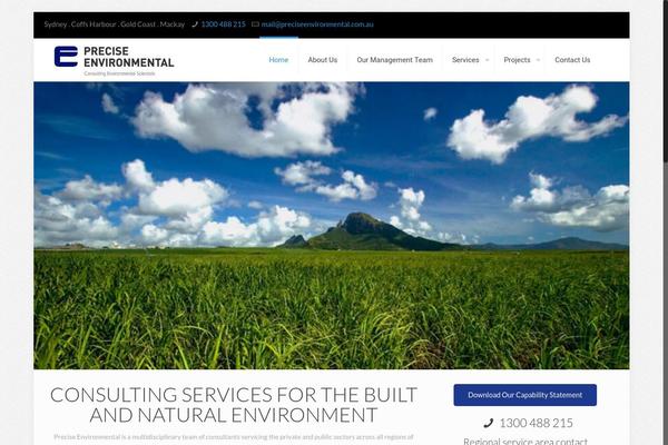 Precise theme site design template sample