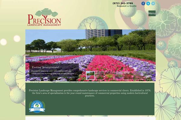 precisiondallas.com site used Theron