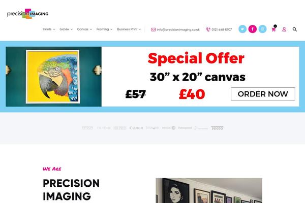 CopyPress theme site design template sample