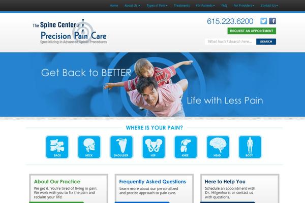 precisionpaincare.com site used Ppc