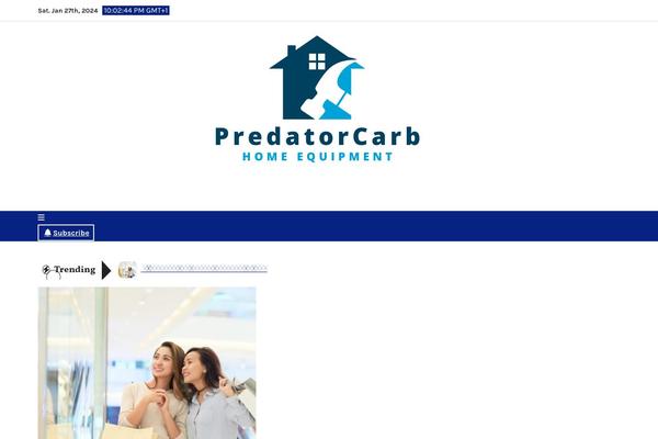 Blog Perk theme site design template sample