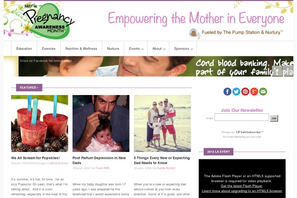pregnancyawareness.com site used Wp Flagman