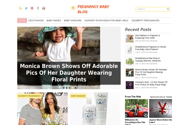 pregnancybabyblog.com site used Thestylist-singlepro