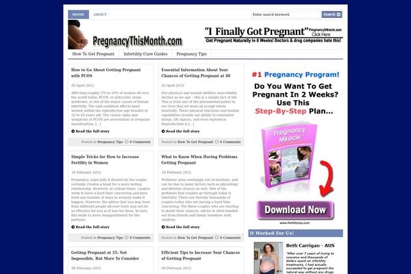 Site using Global Translator plugin
