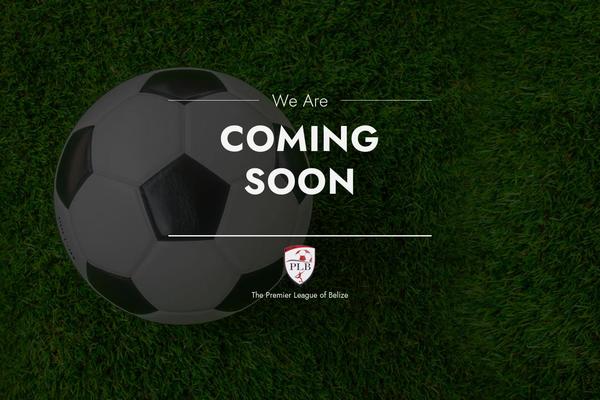 Bigslam theme site design template sample