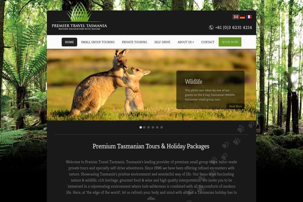 Site using Google Language Translator plugin