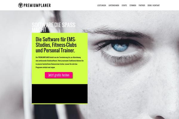 PRO Business theme site design template sample